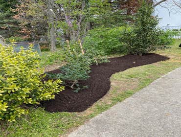 Photos by Sg Gonzalez Landscaping & Maintenance LLC #1