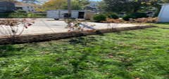 Photos by Felipe Landscaping #2