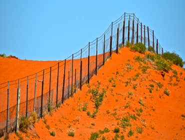 Fences