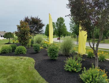 Photos by Amigos Lawn Care & Tree Service #1
