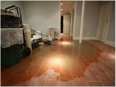 Photos by Red Star Restoration #1