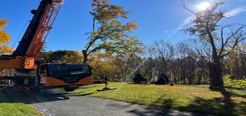 Kelley Tree Service