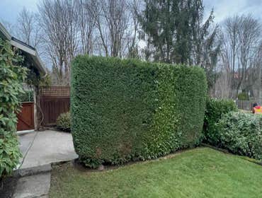 Photos by Maci Landscaping Services LLC #1