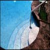 Akamai Gunite Pools Plus We are unique in that we can provide both the artistic vision and the craftsmanship and experience to pull it off. Call us...