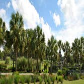 Photos by B&c Fruit Trees & Landscape LLC #1