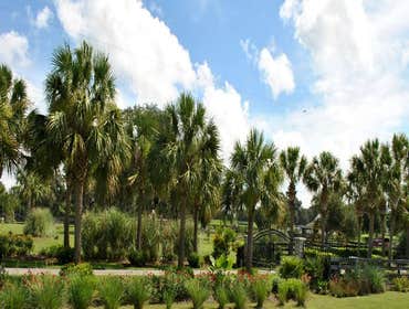 Photos by B&c Fruit Trees & Landscape LLC #1