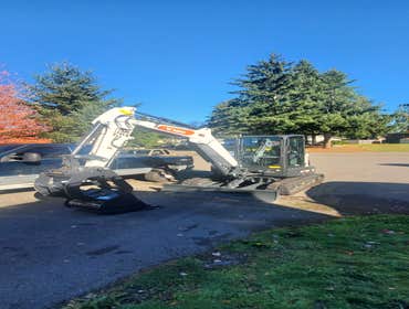 Photos by Trinity Tree Care #3
