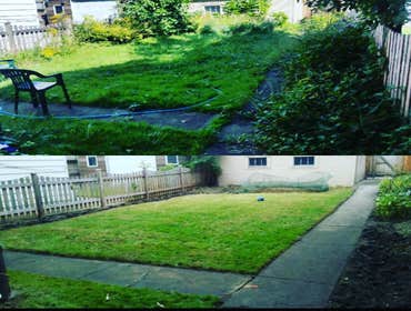 Photos by Greenpal Lawn Care of Sacramento #1
