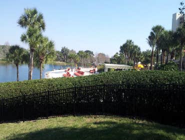Grand Cypress Pool Fence