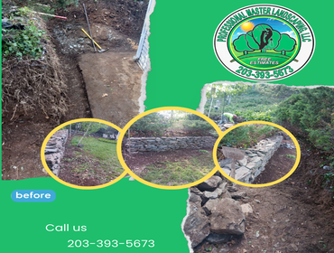 Photos by Professional Master Landscaping LLC #8