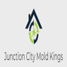 Junction City Mold Kings logo