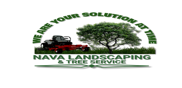 Photos by Nava Landscaping & Tree Service #1