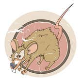Pest Control Portland