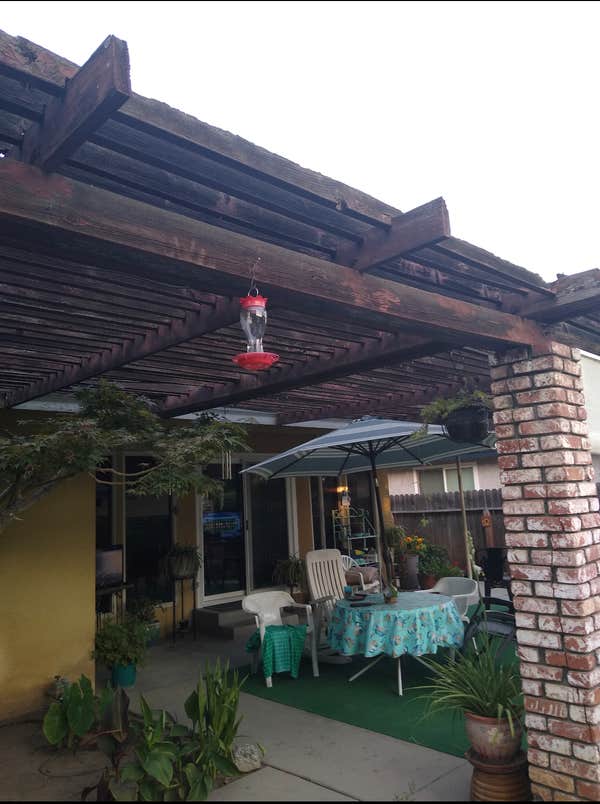 Gazebo before