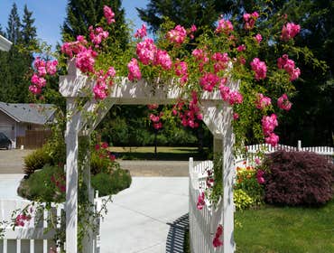 Photo(s) from Benjamin Landscaping & Construction