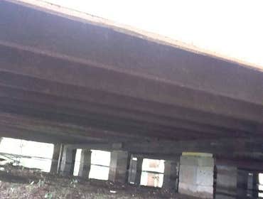 House Raising Houston