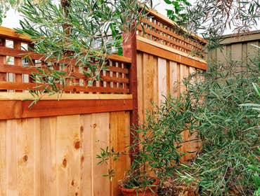 Lattice Top