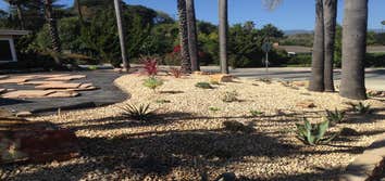 Photos from SB Evolution Landscape