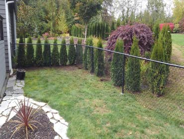 Black Chain Link