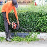Photos by Fort Lauderdale Tree Service #1