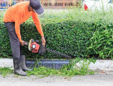 Photos by Fort Lauderdale Tree Service #1