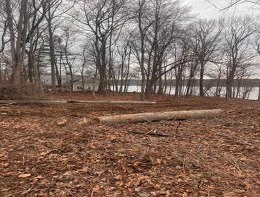 Photos by Yandi's Tree Service #33