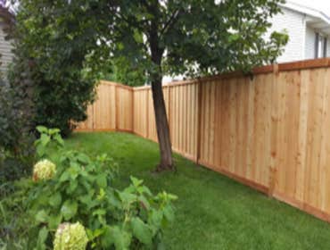 Wood Fence