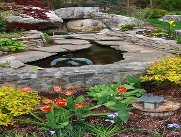 Coi Pond