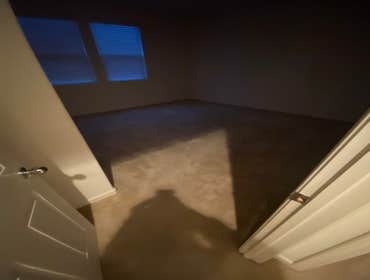Engineerd hardwood floor + interior paint + Garage EPOXY floor