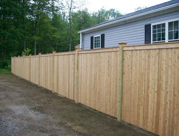 Cedar