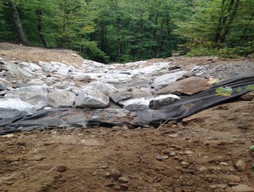 Buffalo Creek