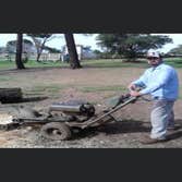 Efrain Tree Services