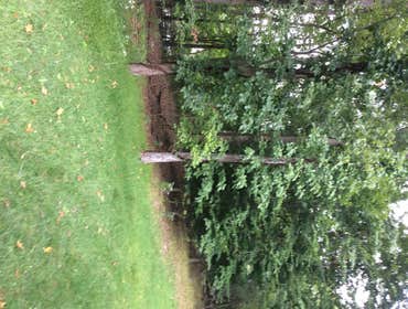 Tree Service South Jersey