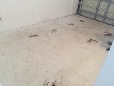 Photos from Project X Concrete Solutions, LLC