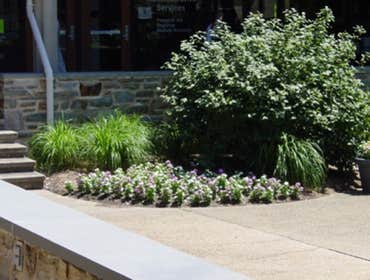 Landscaping Estes goes the extra yard to give you the best customer service possible. We take the time to understand your vision, so that together we c