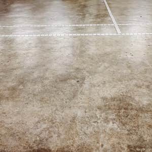 Photos by Parma Commercial Concrete Polishing #1