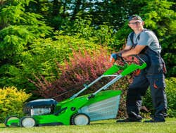 Photos by John Ideal Lawn and Landscapes #1