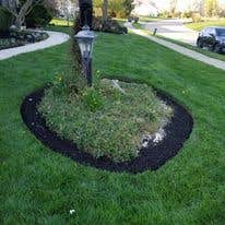 Photos by Morales Landscaping Services, LLC #1