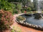 Photos by A1 Landscaping #1