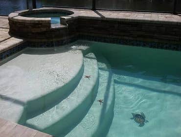 Photos from Primo Pools and Spa by Mario LLC