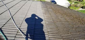 Roof cleaning