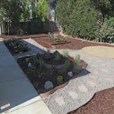 Backyard Landscaping