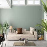 Ann Arbor Painters