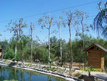 Professional Groundworks Photos