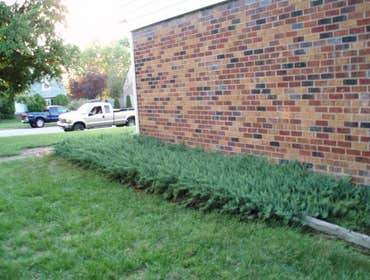 Custom Landscape Services Gallery At Custom Landscape Services we are Changing the Face of the Earth one Landscape at a Time!
We are proud of the wor