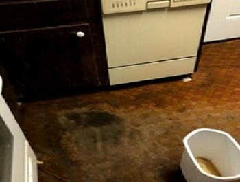 Photos by Restoration Companies Brooklyn #1