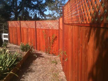 Healdsburg Stained the fence