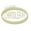 Chandler Action Plumbing & Drain logo
