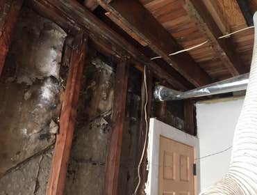 Mold remediation