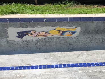 Pools and Project Photos